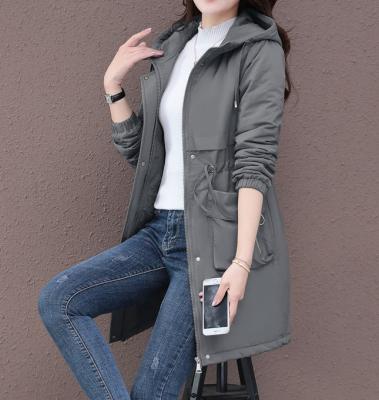 фото 2 Тренч